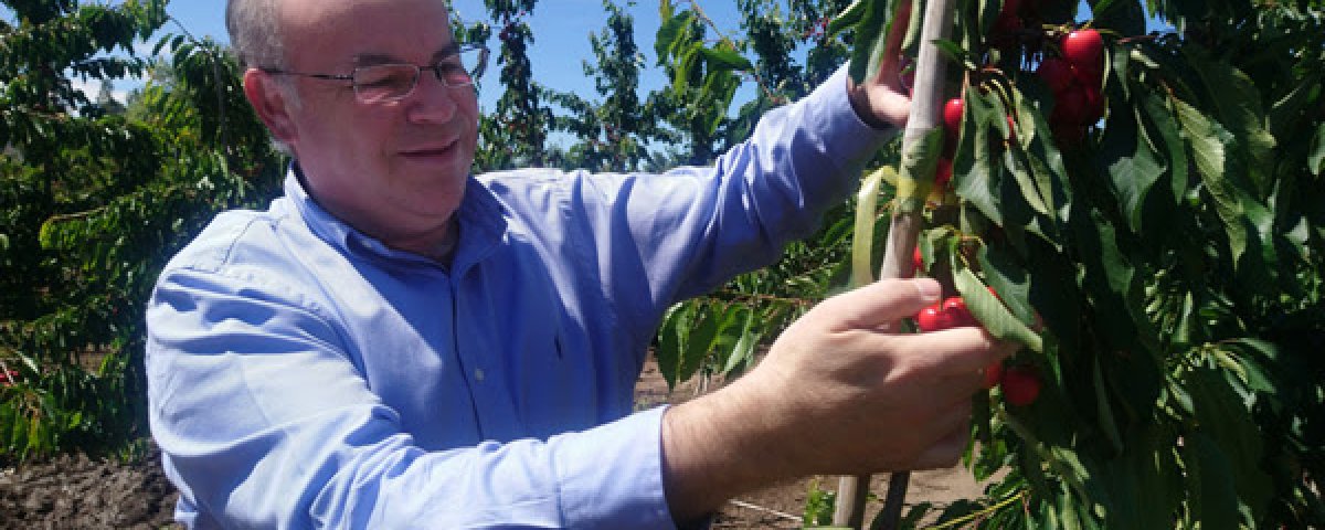 Chilean fruits promote business in Asia