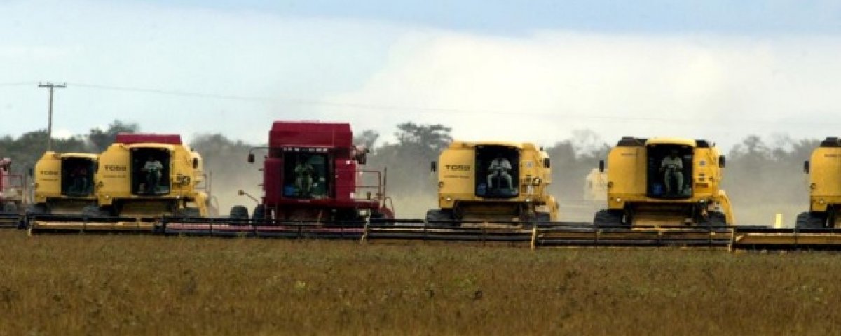 Guerra comercial favorece a la soja brasile&ntilde;a