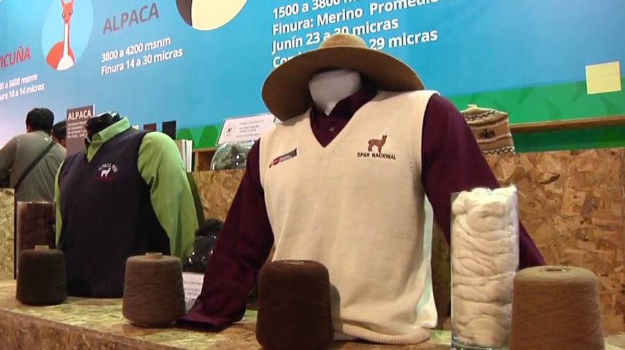 Crece demanda por productos de alpaca en Europa y Asia