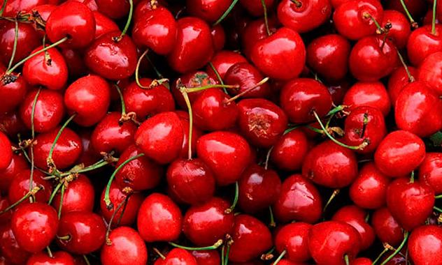 Chile consolida su posici&oacute;n como principal exportador de frutas frescas a China