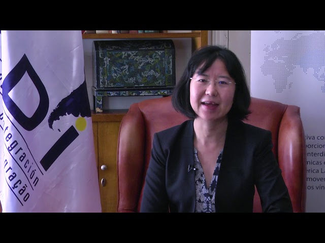 Tercer Seminario Acad&eacute;mico del Observatorio Am&eacute;rica Latina - Asia Pac&iacute;fico. Entrevista.