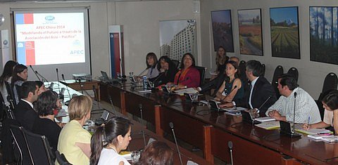 Puntos focales de APEC en Chile conocen lo que ser&aacute; el trabajo de APEC para el 2014