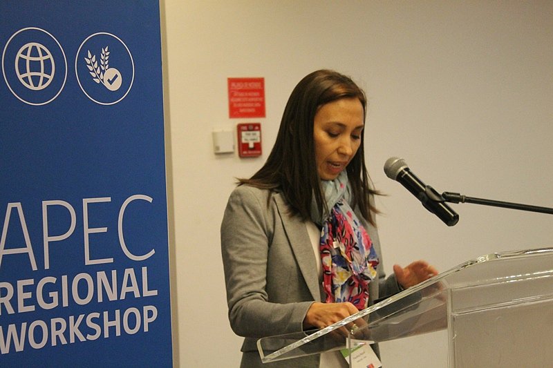 DIRECON y ACHIPIA organizan Taller APEC: Expertos mundiales en alimentos se re&uacute;nen en Chile para analizar est&aacute;ndares regulatorios del sector