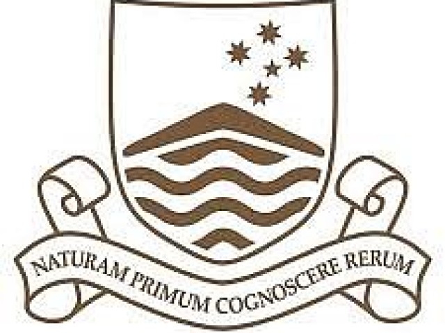 Bachelor of Latin American studies