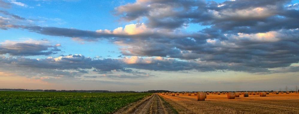 Per&uacute; abrir&aacute; 12 nuevos mercados en Asia y Ocean&iacute;a para agroexportaci&oacute;n