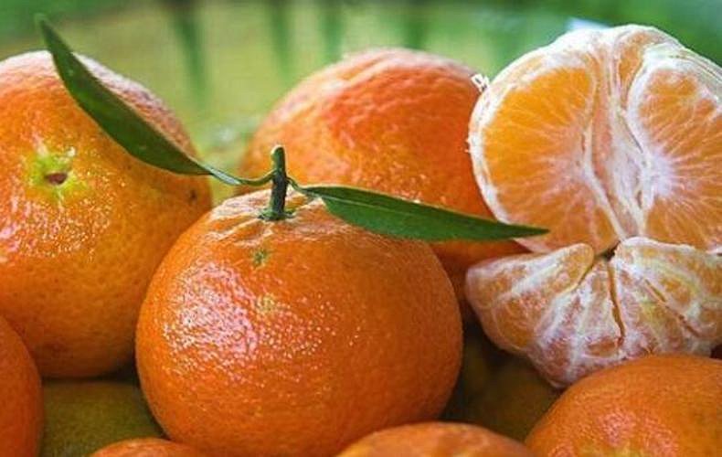 Mandarinas peruanas ingresan al mercado de Indonesia