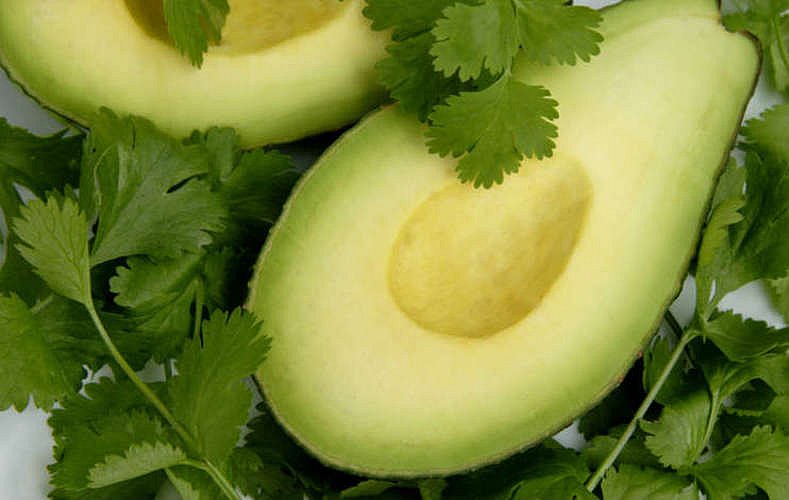 Avanzan negociaciones para exportar Aguacate Hass de Jalisco a China