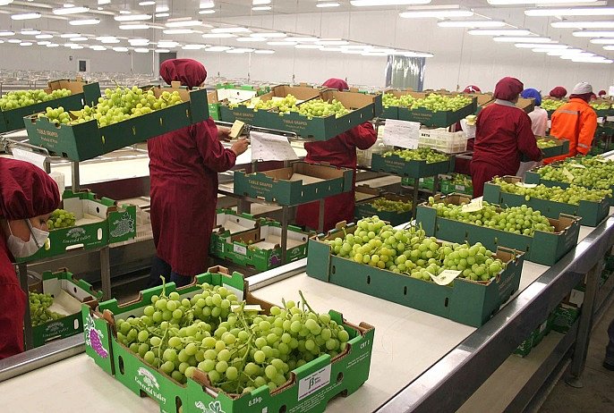 Env&iacute;os peruanos no tradicionales a Corea sumaron US$ 196 millones