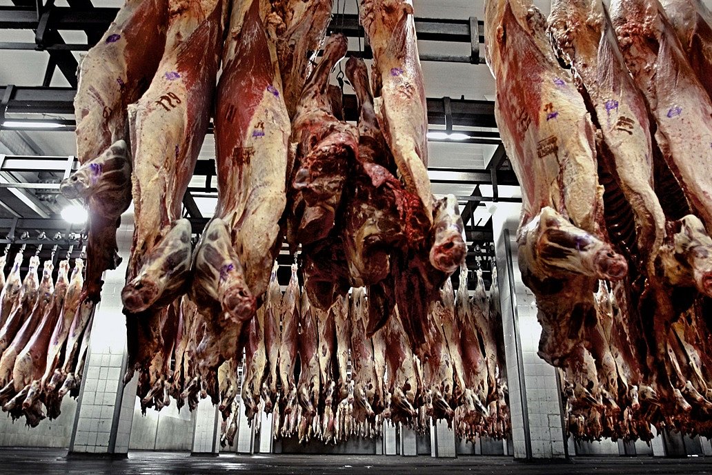 Carne: pol&eacute;mica por un acuerdo con China