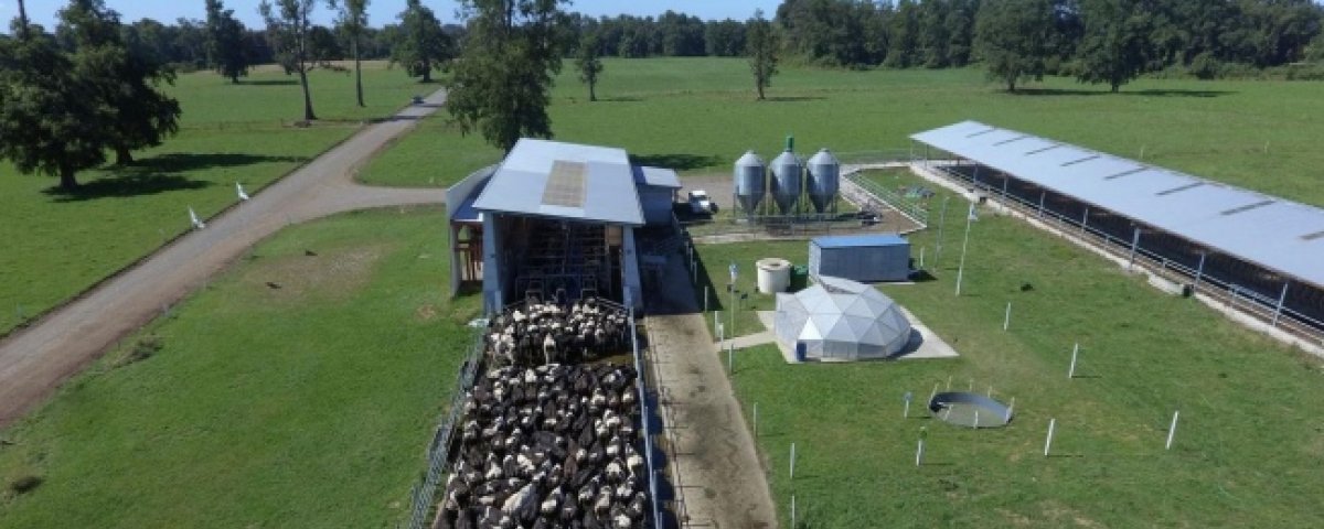 Innovation of processed food sector unite China and Chile