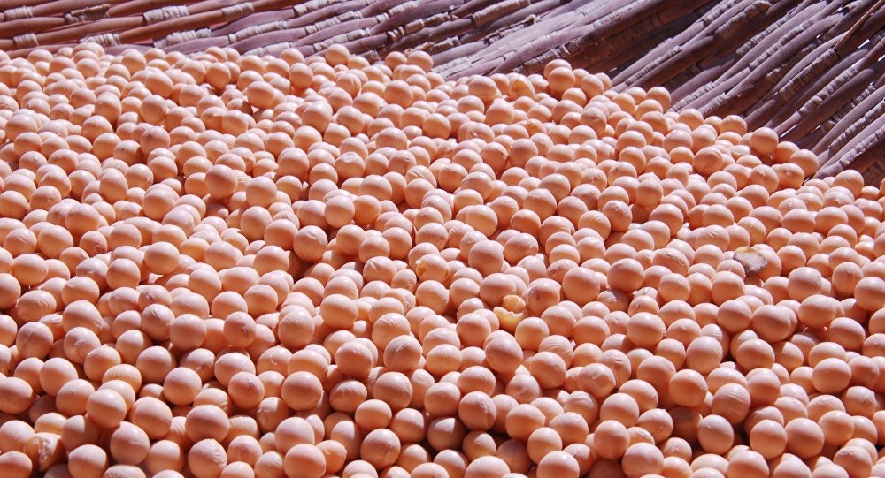 China y Uruguay firman protocolos para ampliar intercambio agr&iacute;cola