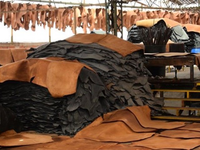 Facilitaci&oacute;n de las exportaciones de cuero brasile&ntilde;o a Vietnam