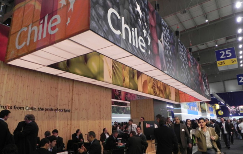  Chile avanza posiciones para sus frutas frescas en el mercado chino con miras a incluir c&iacute;tricos