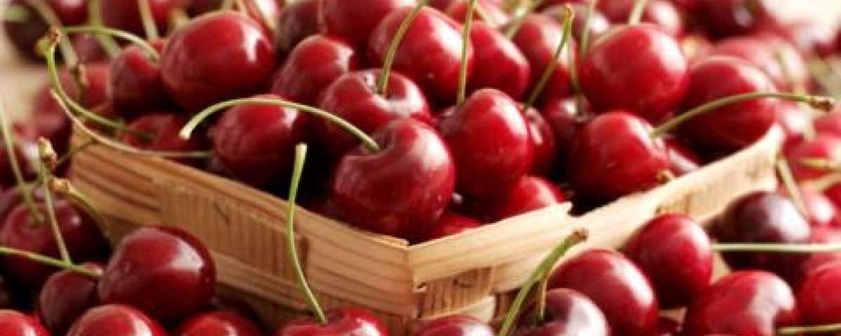 Argentina will export grapes and cherries to Thailand