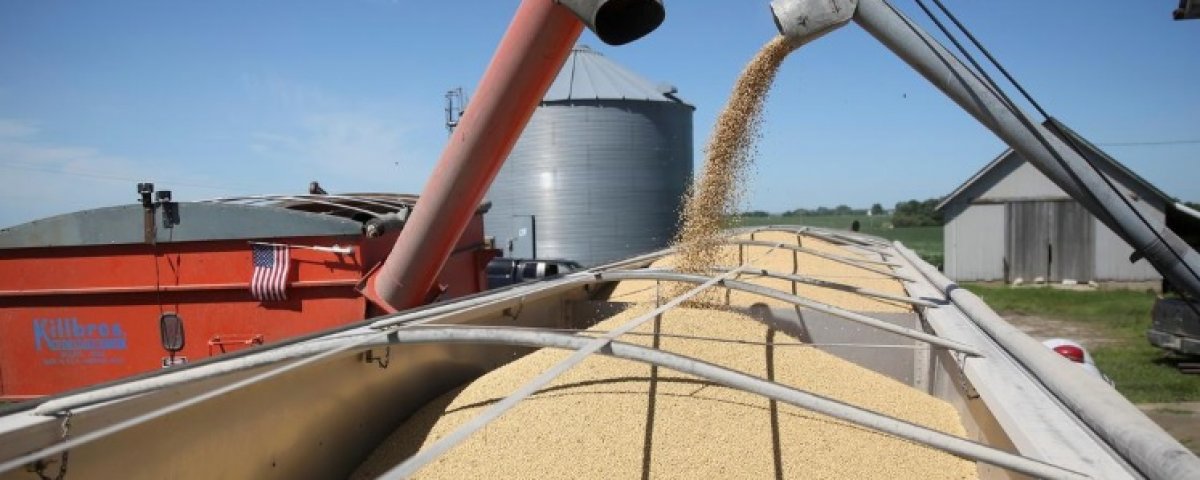 Soybeans of Argentina will be the star in China by 2020